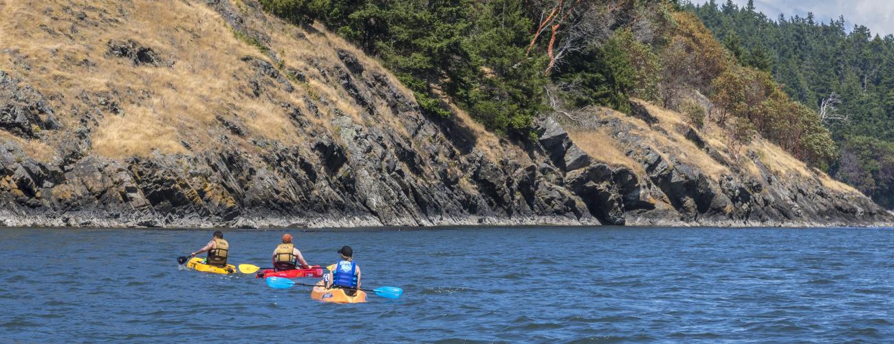 Three paddlers in red, orange and yellow sit-on kayaks paddle offshore of sandstone and treed land