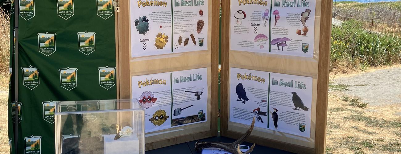 Pop-up exhibit about flora and fauna with the sea in the background