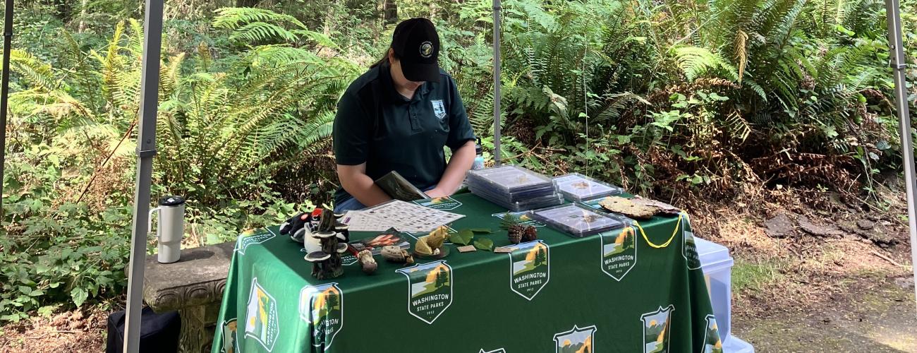 Pop-up Exhibit about the forest with ferns in the background