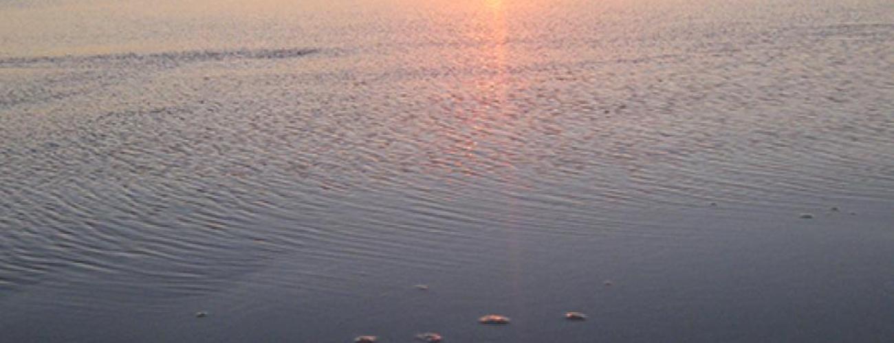 Sunset in the distance with light reflecting on water and wet sand in the foreground