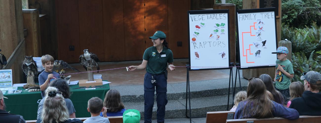 Staff stands in amphitheater holding a string. A child holds either end of the string. Other visitors sit in benches and watch. On the stage there is a table with program items and two white boards with pictures of birds and veggies. 