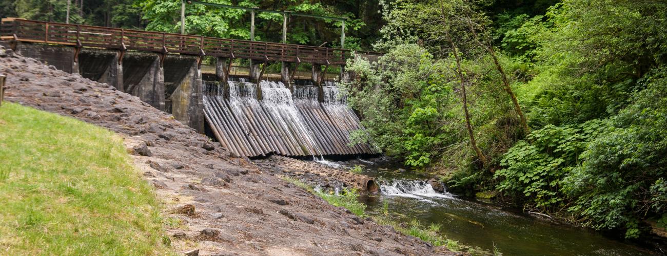 A trail leads to a boardwalk across a small dam