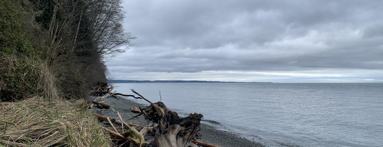 A rocky beach with a pile of driftwood and a treed hillside to the left. Across the water, land jets out meeting the grey, cloudy sky