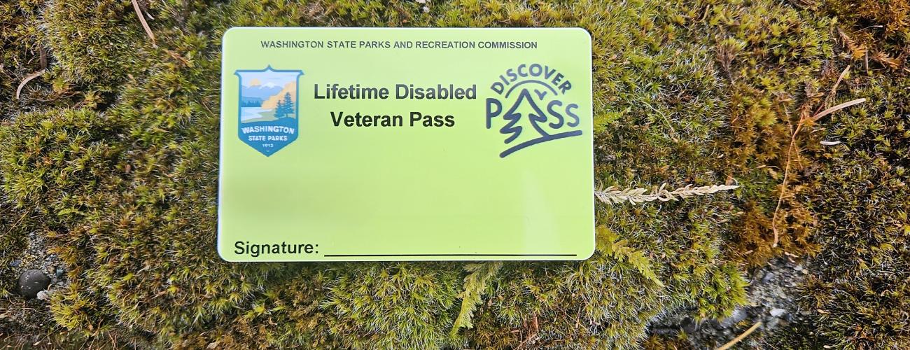 Lifetime Disabled Veteran Pass which is bright green with state parks and Discover Pass logo. 