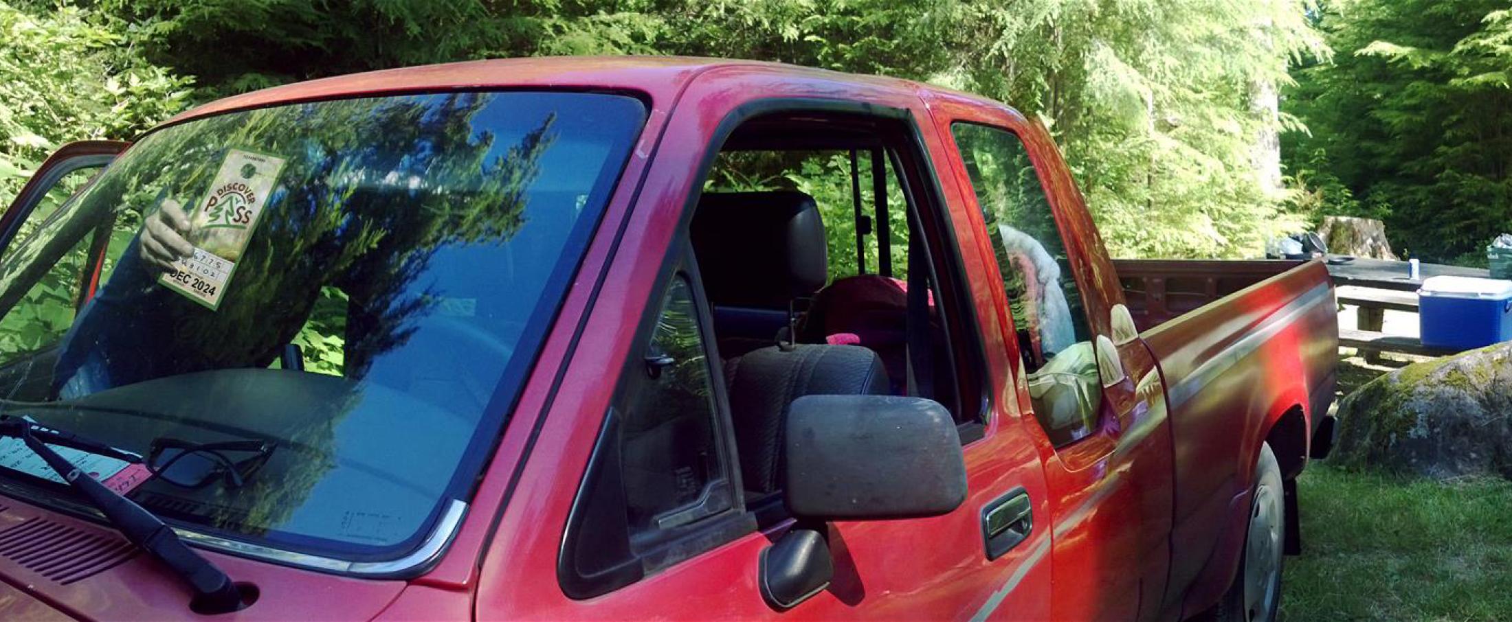 A red truck parked in a campsite. Inside the truck a person is hanging a Discover Pass on the rear view mirror. In the background are trees and a picnic table with a blue cooler sitting on it.