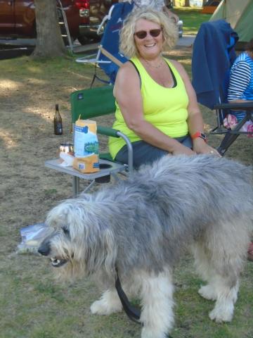 A woman in a yellow tank top sits in a campsite with a big gray shaggy dog.