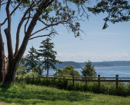 View of the Saratoga Pass at Camano Island State Park with a large tree on the left hand side in the forefront, mowed grass along the forefront of the photo, a wooden post-fence in the center of the photo, and the Saratoga Pass in the background. The sky is a light blue with some fluffy clouds and it appears to be a sunny day. 