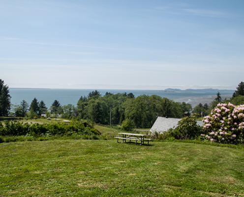 Large grass field with flower bushes, and a view of the ocean at Fort Columbia State Park.