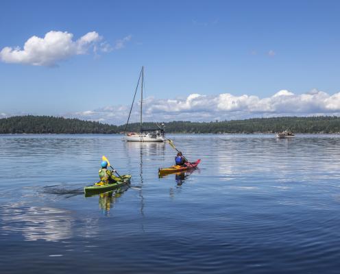 Kayakers on the bay surrounding Hope Island State Park. 