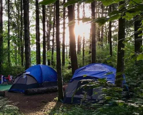 Two Tents pitched under sunny skies and shaded by large tall trees
