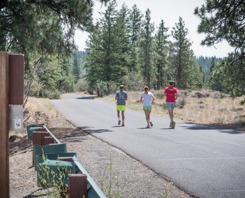 Three joggers run in the sunshine along a paved road through trees and a rocky field.