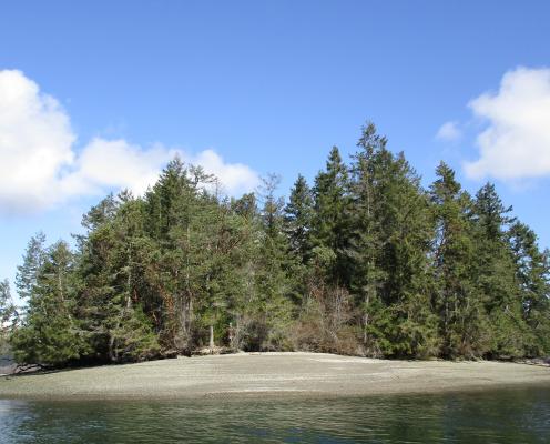 Eagle Island water view trees pudget sound