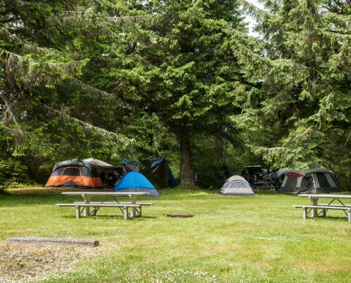 open campsite with picnic tables and tents surrounded by trees