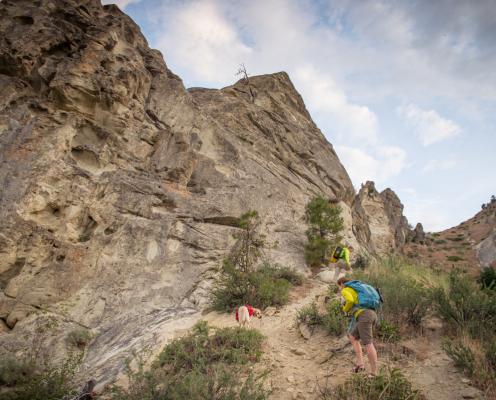 Mountain hikers on trail.