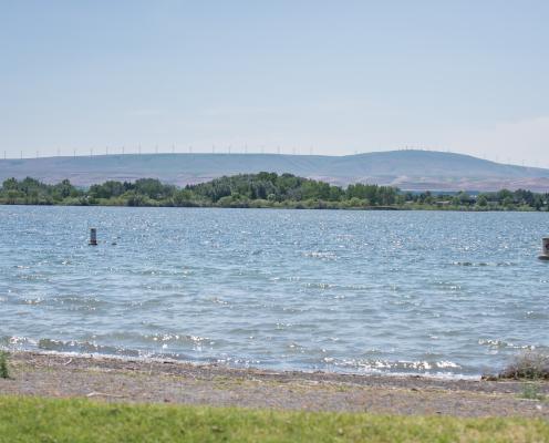 A view from the shore looking over the Columbia River with trees along the far shore and a far distant hillside topped with wind turbines.