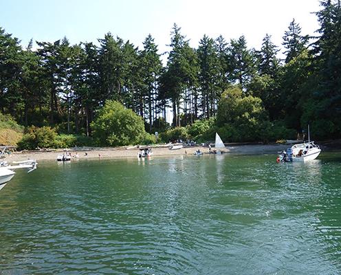 Boats are moored in the emerald water at Saddlebag island on a sunny day. There are tall evergreen trees above the sandy banks.