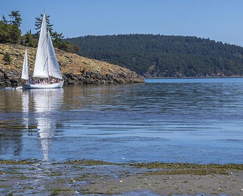 A sailboat cruises near the shore of Spencer Spit on a sunny day.