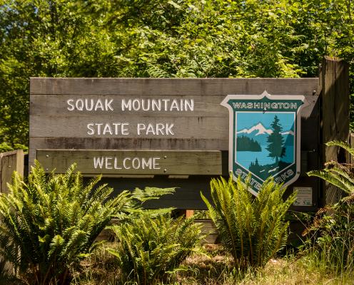 Entrance sign at Squak Mountain State Park with the parks shield and the word "Welcome." Set against a backdrop of green trees and undergrowth. Green ferns are visible in front of the sign. 