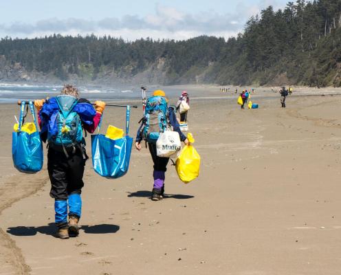 Volunteers using reusable bags for beach cleanup