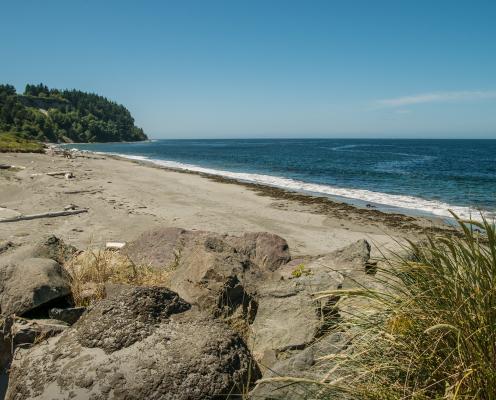 A view over rocks at the sandy beach with seaweed at the water's edge of the Strait of Juan de Fuca with a blue sky and treed hillside to the left.