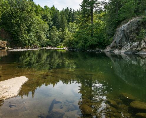 Looking over the calm, brown and green river with large rocks poking through the water. Evergreen trees are down river with a blue sky in the background.. 