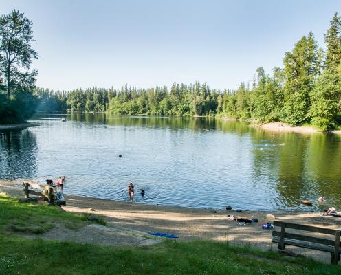 Looking down the lake from the grassy lawn, with the sandy beach on a slight hill with users swimming, towels and belongings on the beach and a person sitting on a bench. Evergreen trees and green shrubs and trees line the lake that is reflecting the clear blue sky. 