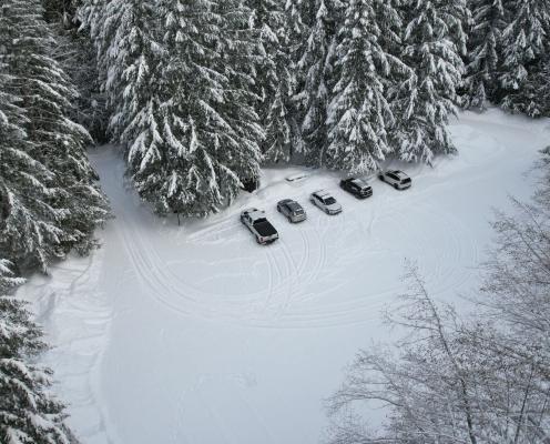 Five vehicles parked in a snow-covered parking area surrounded by tall snow-dusted pine trees.