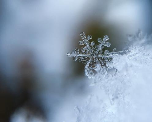 Close up view of a crystal snowflake standing out on top of a pile of snow. The background is blurry and mottled. Photograph by Aaron Burden.