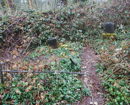 Gravestones behind an old iron fence covered in ivy