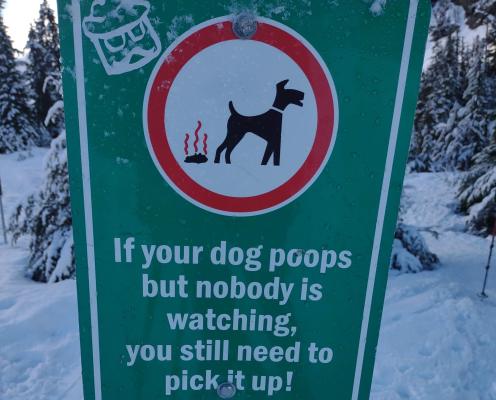 A green, white and red sign showing a dog and a steaming pile of dog doo reads, "If your dog poops and nobody's watching, you still need to pick it up."