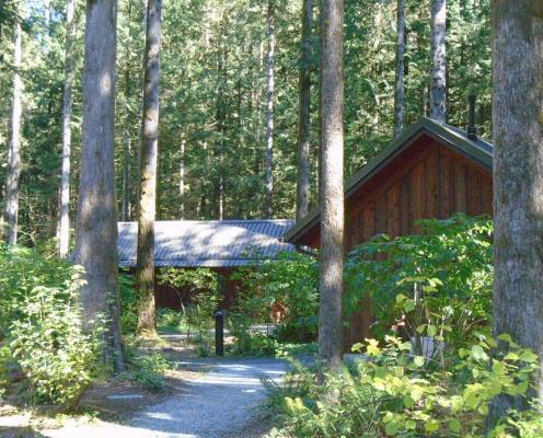 Two wood cabins in a sun-dappled glen of trees
