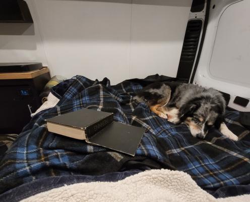 A dog sleeps on a plaid and white double blanket next to a black hardcover book