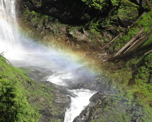 A rainbow reflected in a waterfall and pool with green mosses on either side.