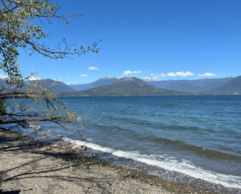 A beach with mountains in the background and tree branches in the foreground