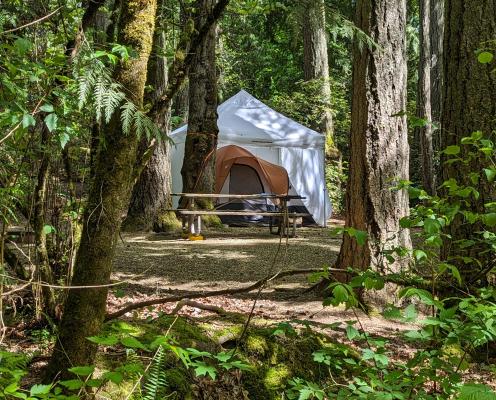 Day canopy over tent in a treed campsite