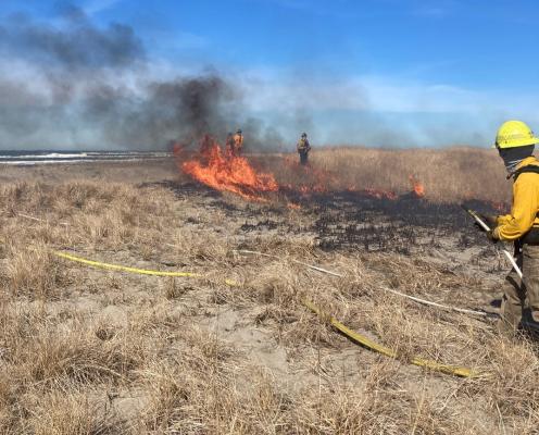 firefighters overseeing a prescribed burn to improve habitats at the beach