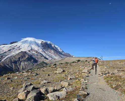 Man with hiking poles skips down a trail on a sunny day at Mt. Rainier National Park. There is a large mountain in front of him.