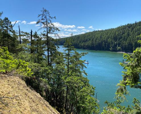 Standing on the edge of a tall hillside, covered with grass, rocks and evergreen trees, looking over water with a treed hillside and blue, slightly cloudy sky in the background. The water is obscured with trees from the tall hillside, with an opening to partially view two docks in water.