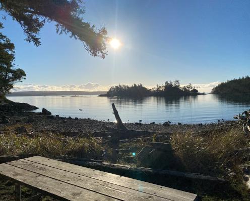 A picnic table on grass sits in the foreground separated from the rocky beach by a line of tall grass and driftwood. In the upper left, an evergreen tree branch hangs into view. A short distance off shore, under the sun and blue sky with a cloudy horizon, sits a small treed island. Treed hillsides sit on the right and along the horizon in the background.