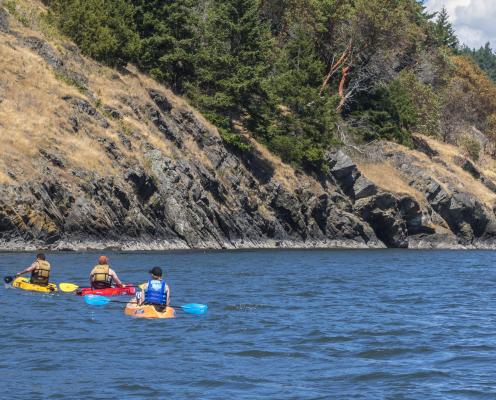 Three paddlers in red, orange and yellow sit-on kayaks paddle offshore of sandstone and treed land