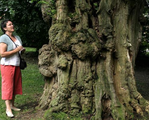 A knotted tree trunk and woman in orange capris and white shirt with notepad
