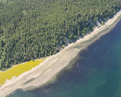 An aerial photo of an algae bloom by Eyes Over Puget Sound