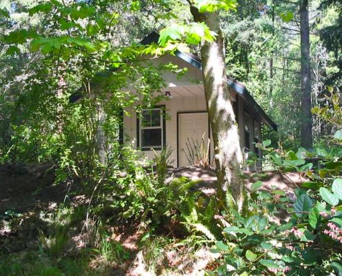 A white cabin nestled into a green forested wood.