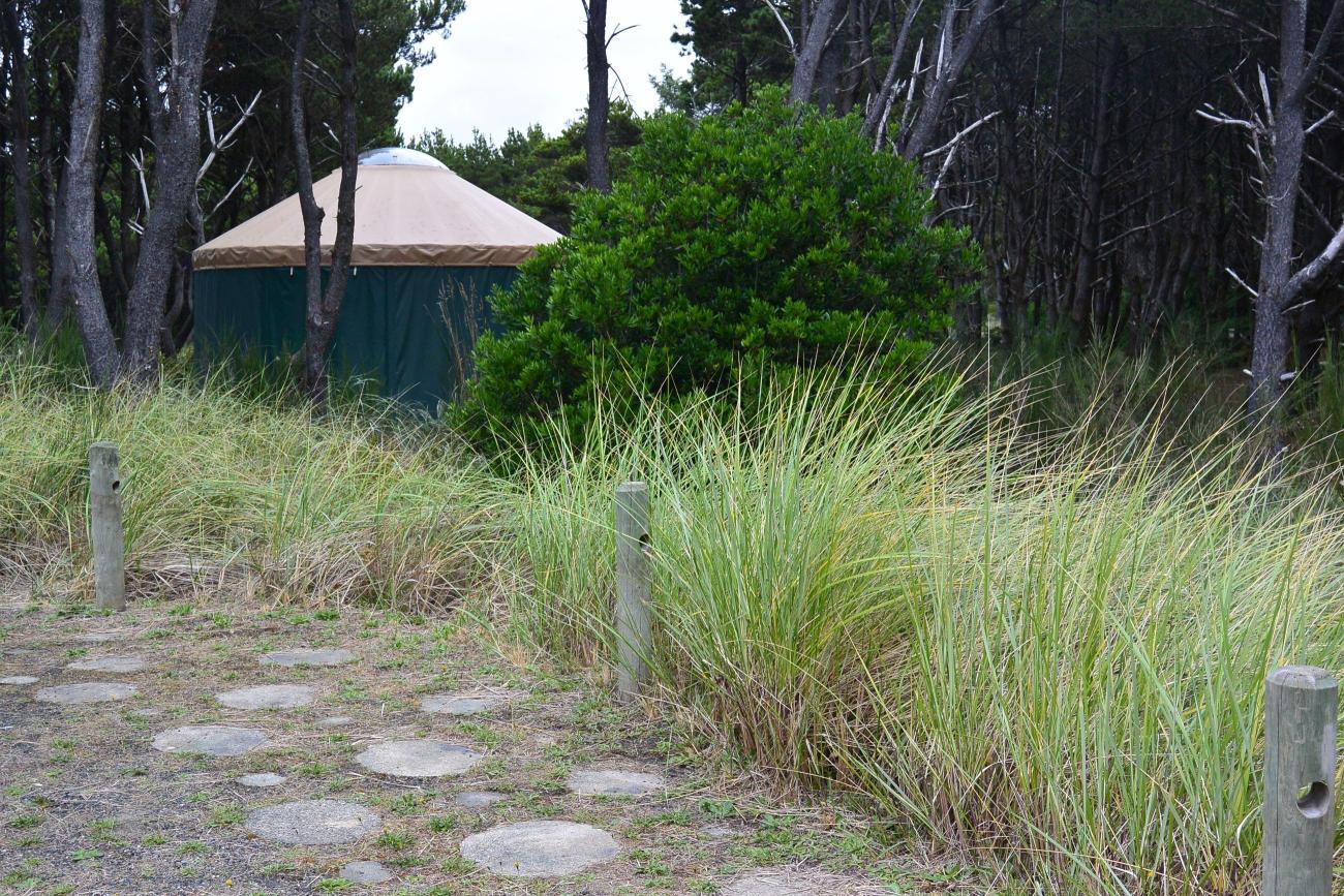 The top of a yurt visible from behind a bush with a stone path in the foreground