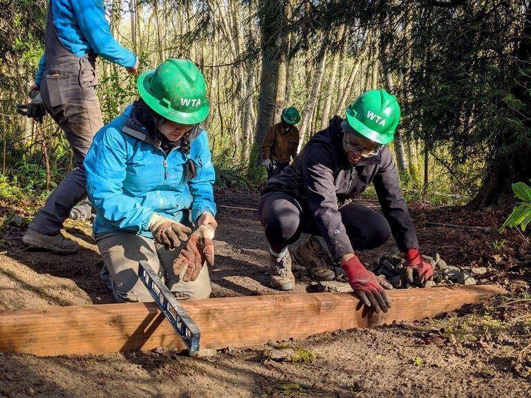 Members of the Emerging Leaders Program conduct field work