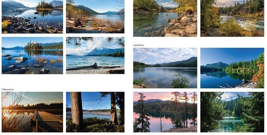 Photos of varies parks that inspired the final logo's landscape