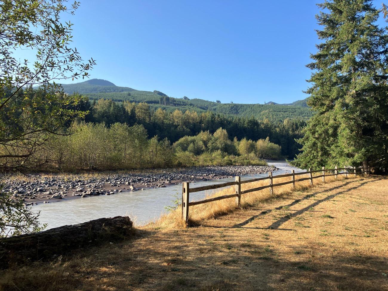 A view of the river at Federation Forest State Park