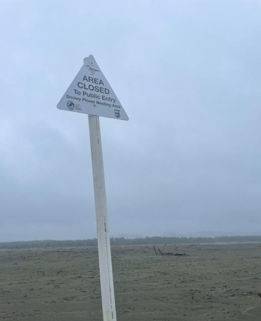 Snowy plover closed sign