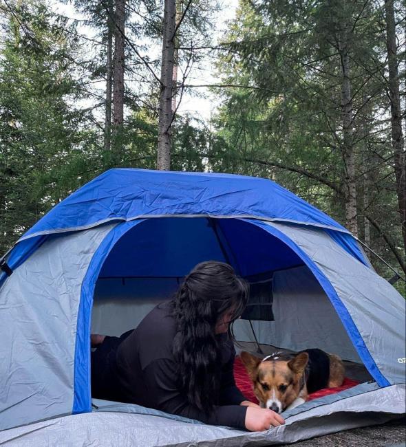 Corgi and human laying in a tent