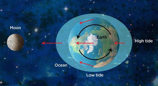 HIGH HOPES FOR LOW TIDES